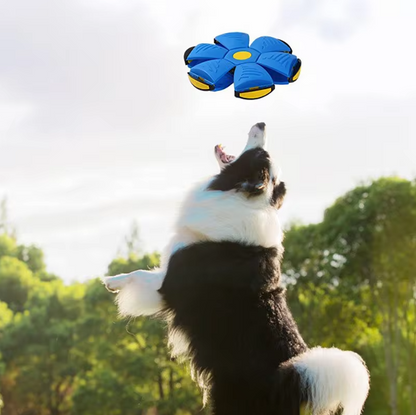 Pelota Disco Para Mascotas - JUMPI PLUPY