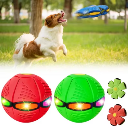 Pelota Disco Para Mascotas - JUMPI PLUPY