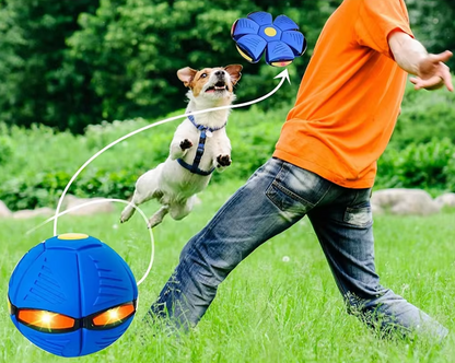 Pelota Disco Para Mascotas - JUMPI PLUPY